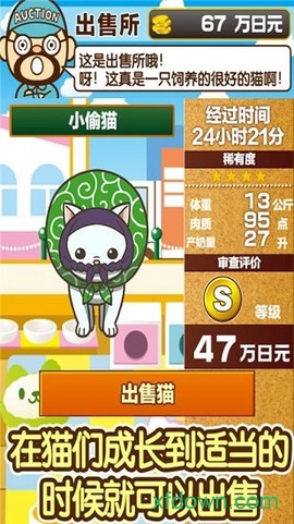 小猫仔咖啡店图1