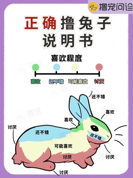 金庸群侠传怎么捡兔子[图1]