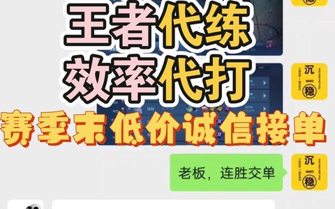 王者荣耀怎么查代练[图2]
