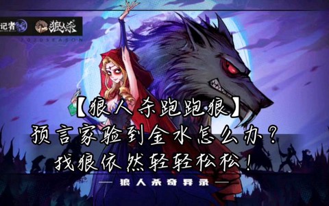 狼人杀接金水怎么接