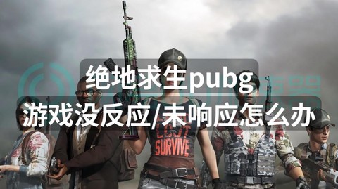 绝地求生未响应怎么办[图2]