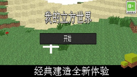 我的立方世界图1