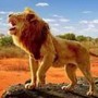 https://static.down8818.com/uploads/20250721/687dbb1d20c738.09202219.png