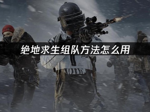绝地逃杀怎么组队流程[图1]