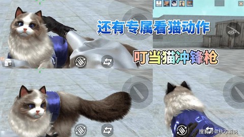 穿越火线的猫怎么弄