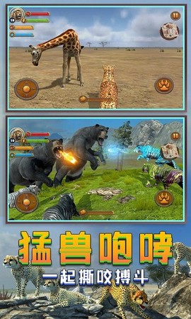 丛林老虎模拟器图2