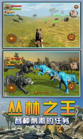丛林老虎模拟器图3