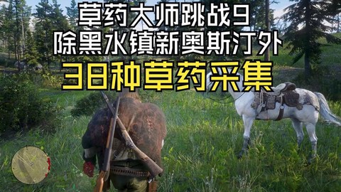 荒野大镖客2如何采药[图1]