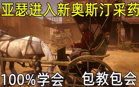 荒野大镖客2如何采药[图2]