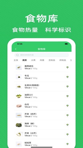 减肥营养师图3