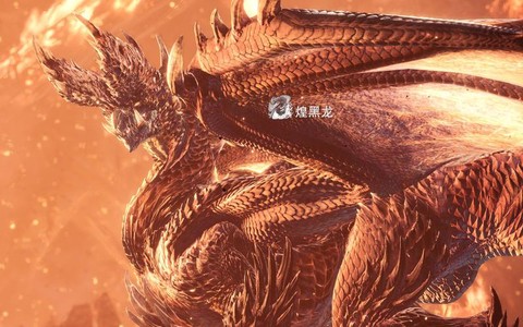 怪物猎人x煌黑龙怎么出[图2]