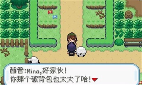 口袋妖怪剑盾汉化版[图1]