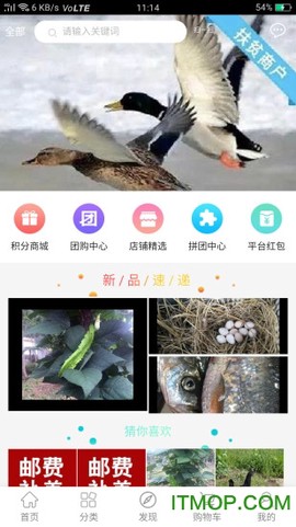 乡村振兴[图1]