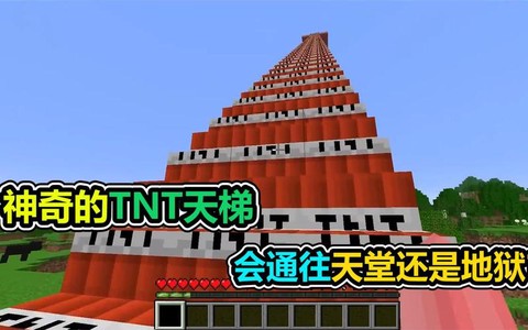 我的世界天梯怎么做的[图2]