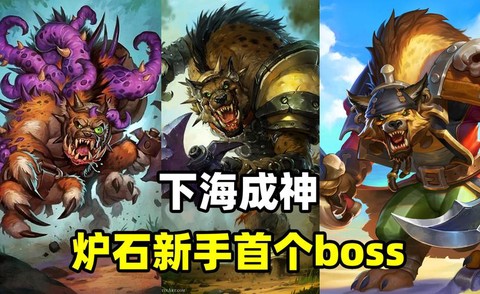 炉石传说下海什么意思
