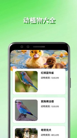 万物识图图3