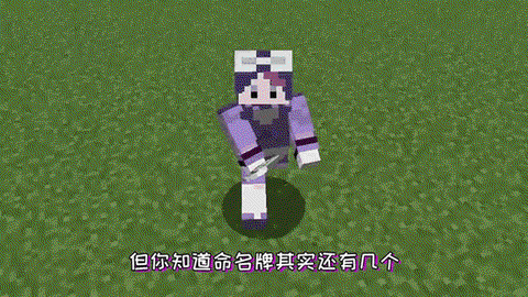 我的世界命名牌怎么做[图2]