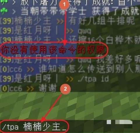 我的世界如何传送队友[图2]