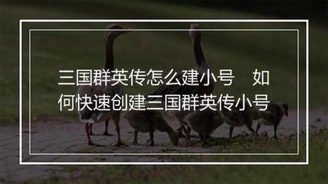 三国群英传如何开小号[图1]