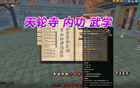 九阴真经武当用什么武学