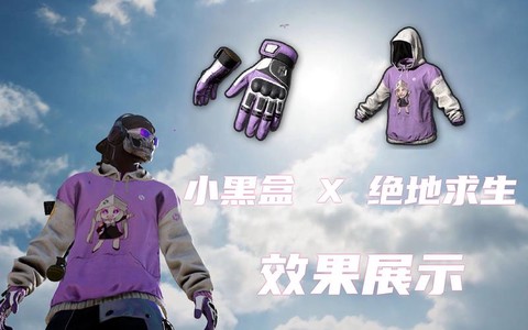 绝地求生小黑盒是什么