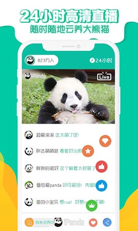熊猫频道[图1]