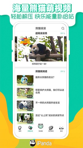 熊猫频道图1