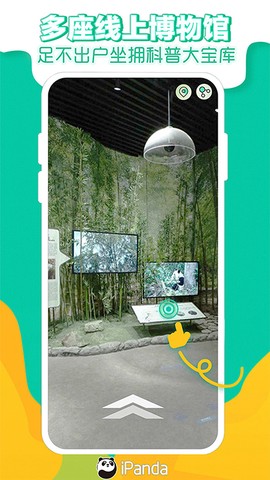 熊猫频道图2
