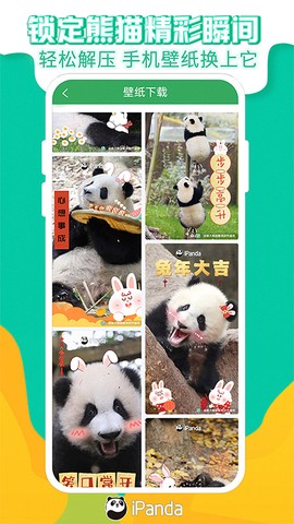 熊猫频道图3