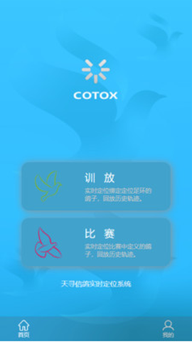 中国信鸽比赛[图1]