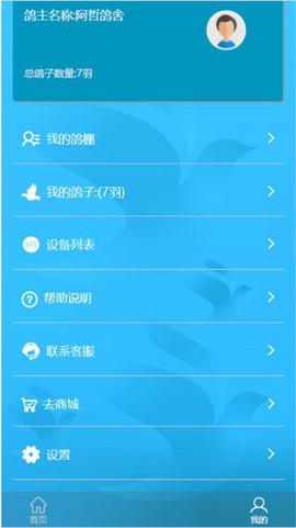 中国信鸽比赛图3