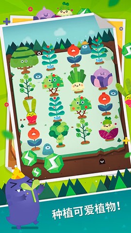 口袋植物图2