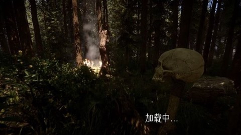真实荒野生存[图1]