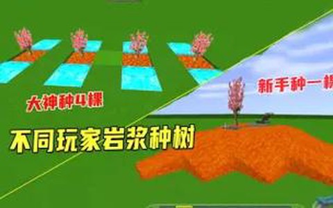 迷你世界里怎么种树
