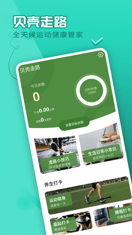 流动贝壳走路图2