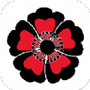 https://static.down8818.com/uploads/20250727/68859eed971d81.70443059.png