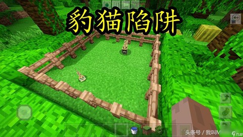 我的世界豹猫怎么骑[图2]