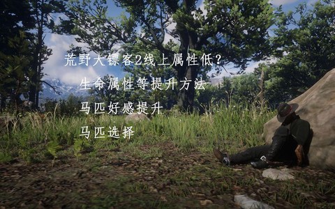 荒野大镖客怎么练属性[图1]