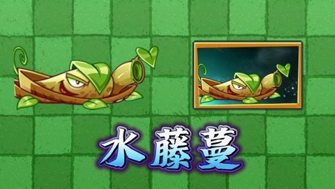 迷你世界藤蔓有什么用[图2]