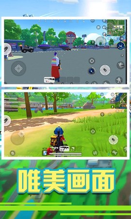 疯狂军旗图2