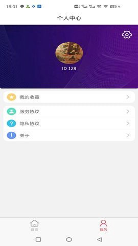 蜜蜂起名图1