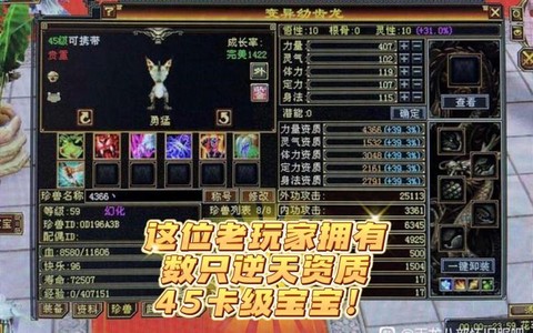 天龙八部怎么抓宝宝
