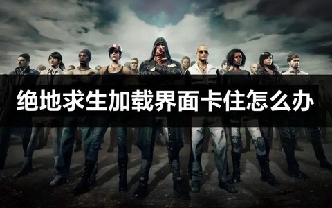 绝地求生卡模型怎么办