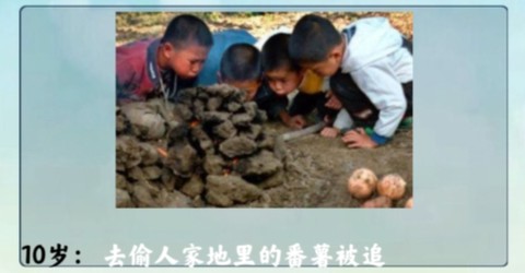 人生重开模拟器配图版[图2]