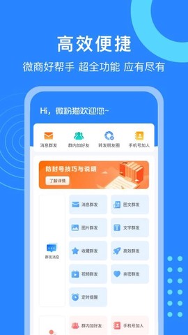 微粉猫图1