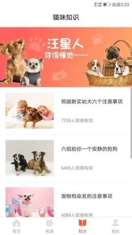 爱狗交流器图2