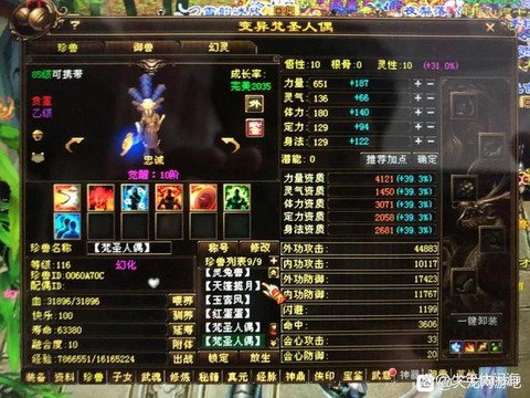 天龙八部宝宝怎么加点