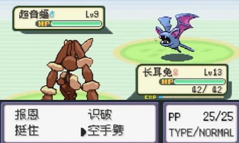 口袋妖怪：无名[图1]