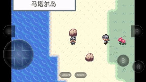 口袋妖怪：无名图3