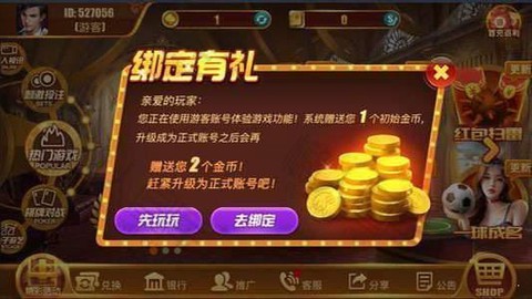 天天爱海南麻将图1